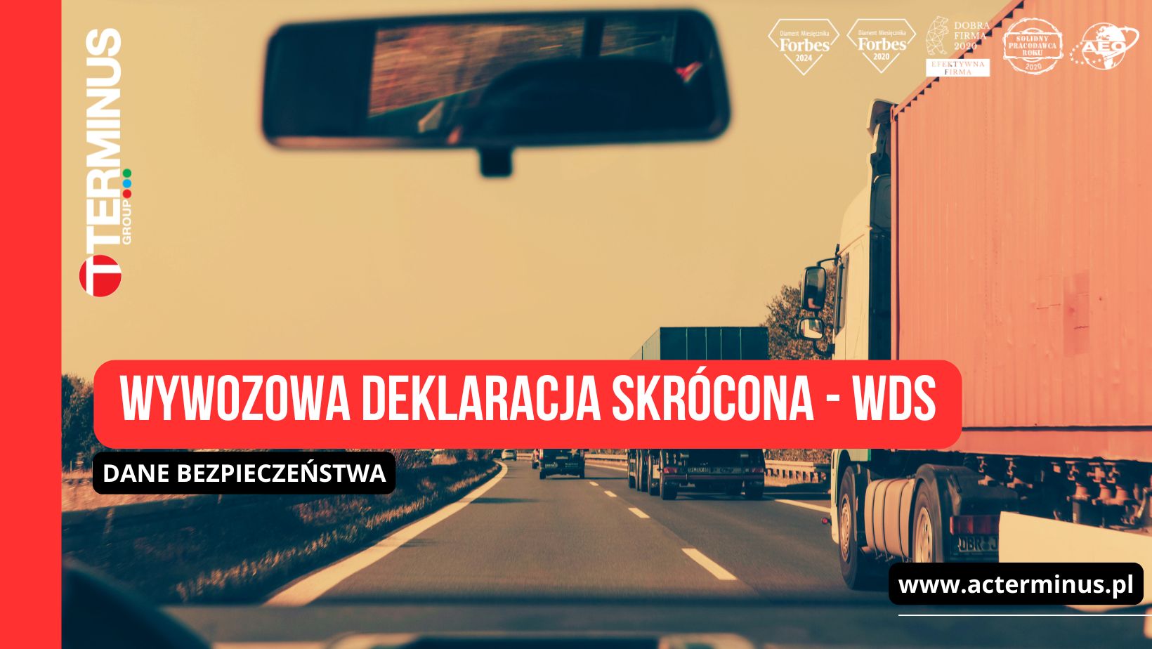 Wywozowa Deklaracja Skrócona WDS